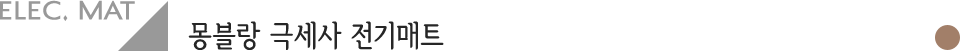 전기매트