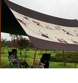 타프류 : 아트뮤지엄